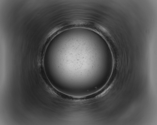 X0000087001017200704161520