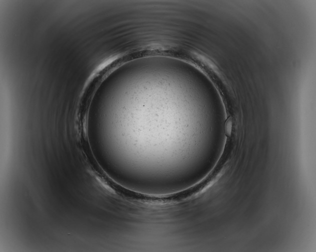 X0000087001018200704161520