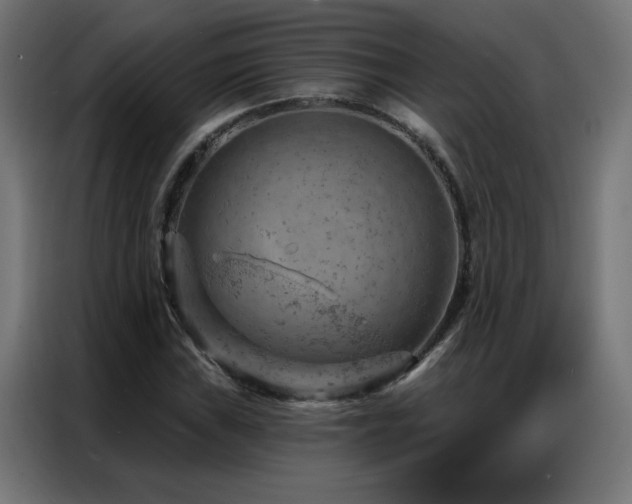 X0000087001019200704161520