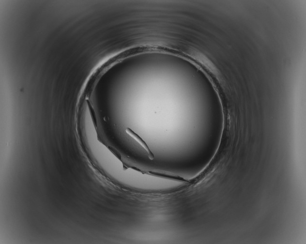 X0000087001020200704161520