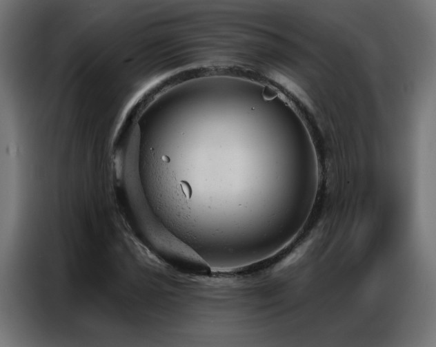 X0000087001021200704161520