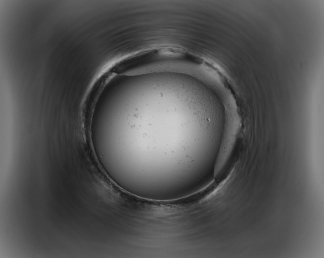 X0000087001022200704161520