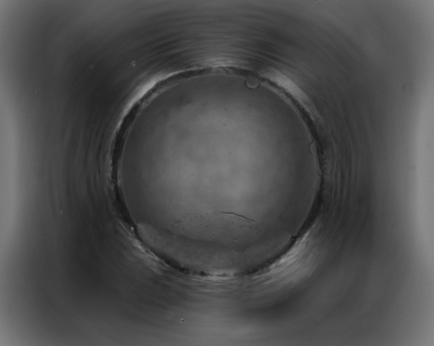 X0000087001023200704161520