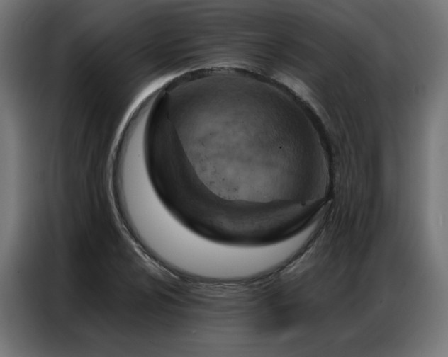 X0000087001024200704161520