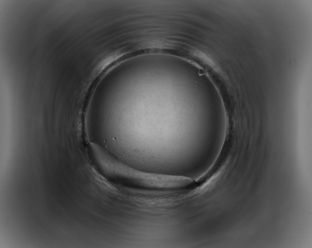X0000087001025200704161520