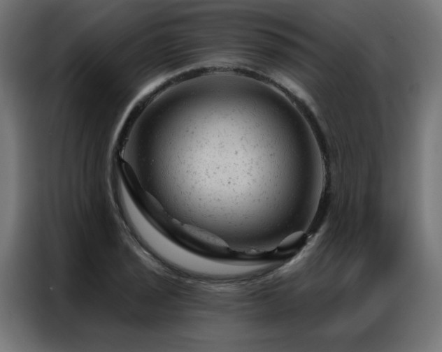X0000087001029200704161520