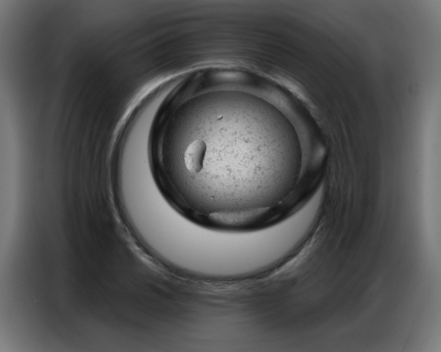 X0000087001030200704161520