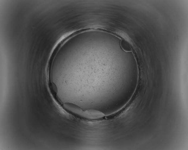 X0000087001032200704161520