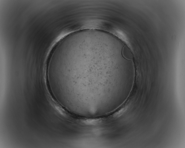 X0000087001035200704161520