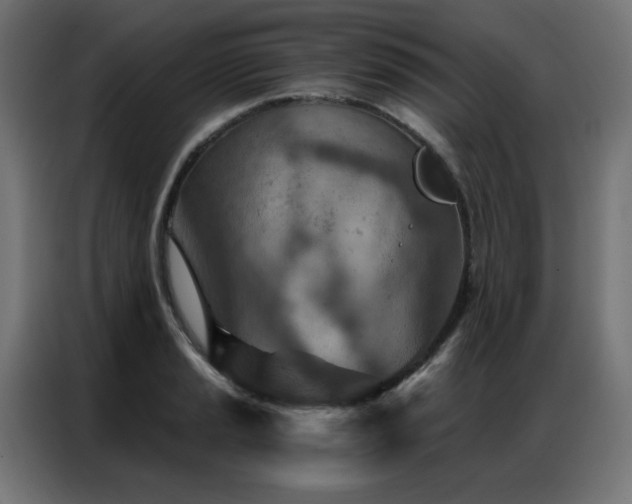 X0000087001037200704161520