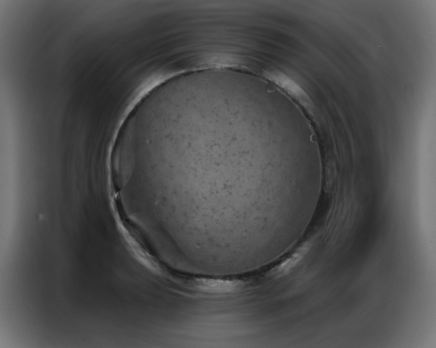 X0000087001039200704161520