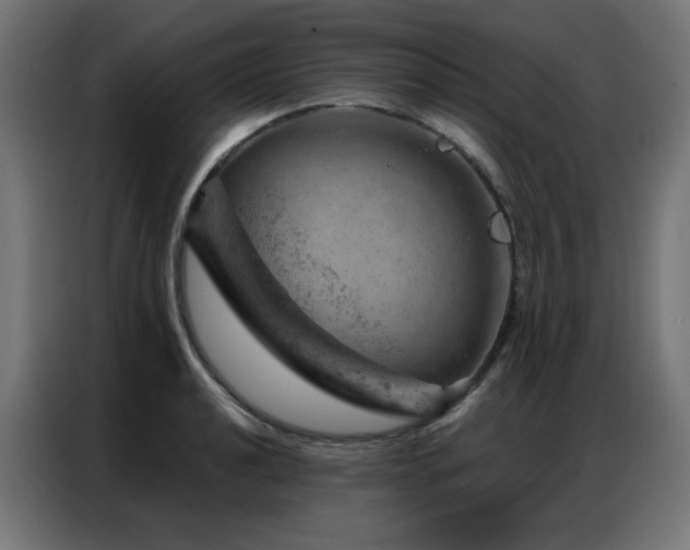 X0000087001040200704161520