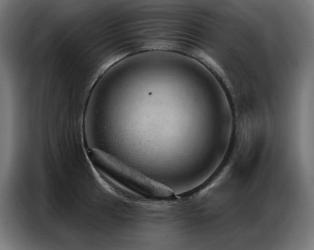 X0000087001041200704161520