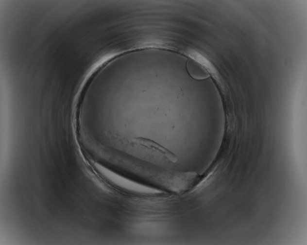 X0000087001043200704161520