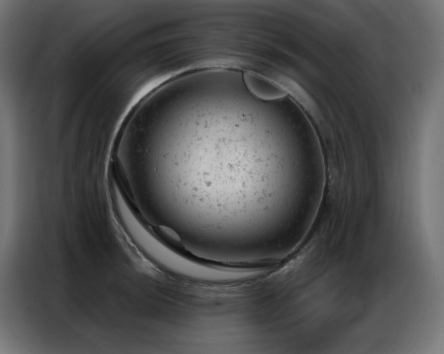 X0000087001044200704161520