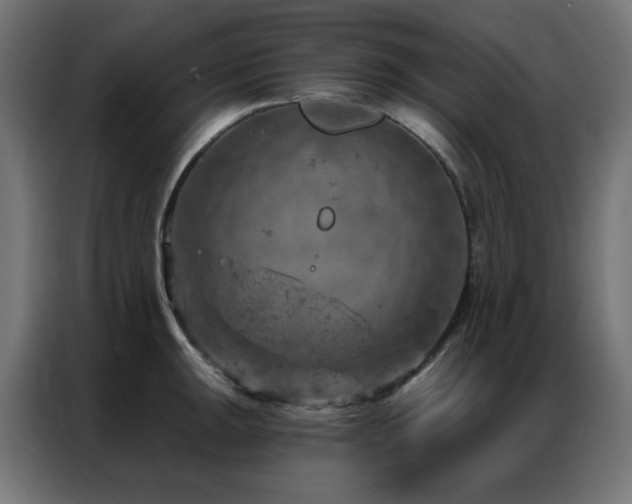 X0000087001047200704161520