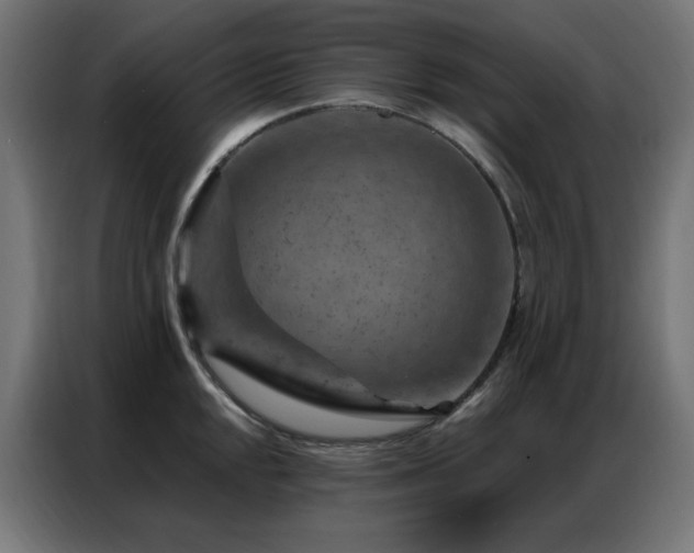 X0000087001048200704161520