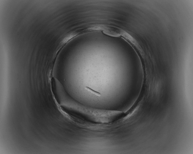 X0000087001049200704161520