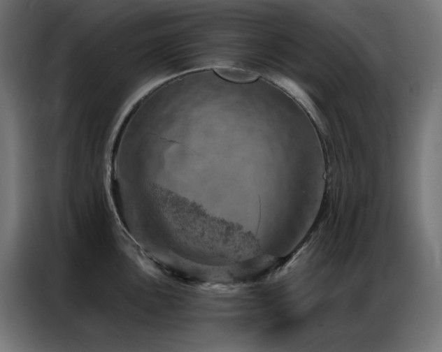 X0000087001051200704161520