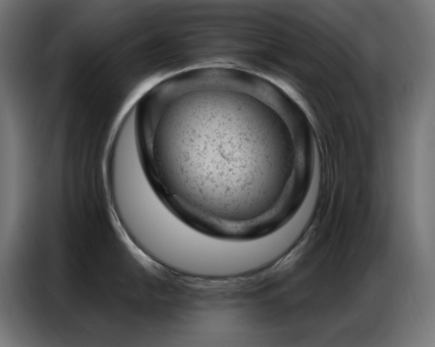 X0000087001054200704161520