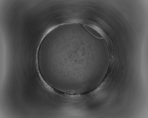 X0000087001055200704161520