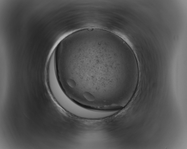 X0000087001056200704161520