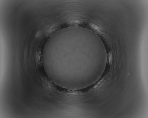 X0000087001059200704161520