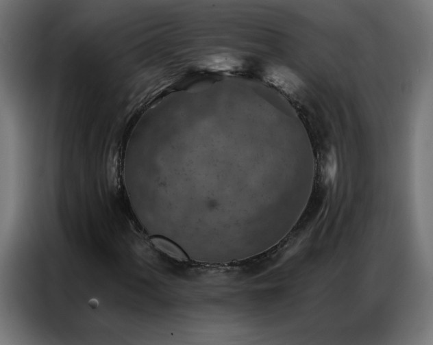 X0000087001060200704161520