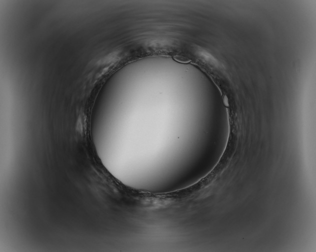 X0000087001061200704161520