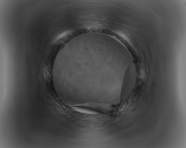 X0000087001063200704161520