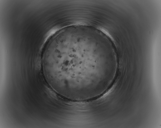 X0000087001067200704161520