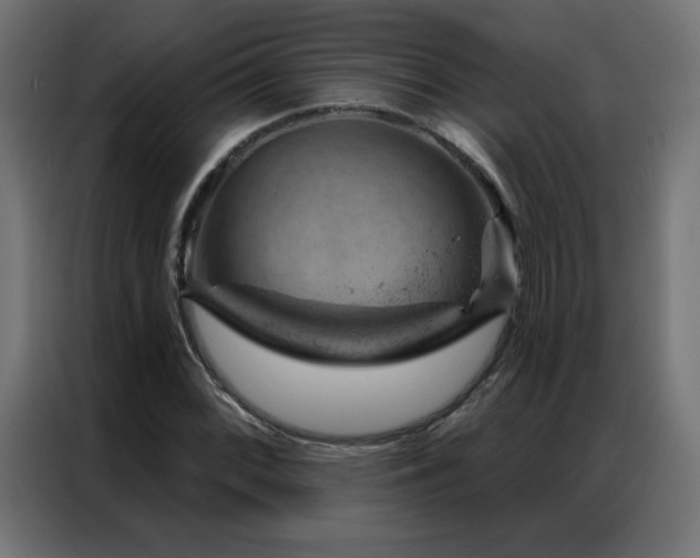 X0000087001068200704161520