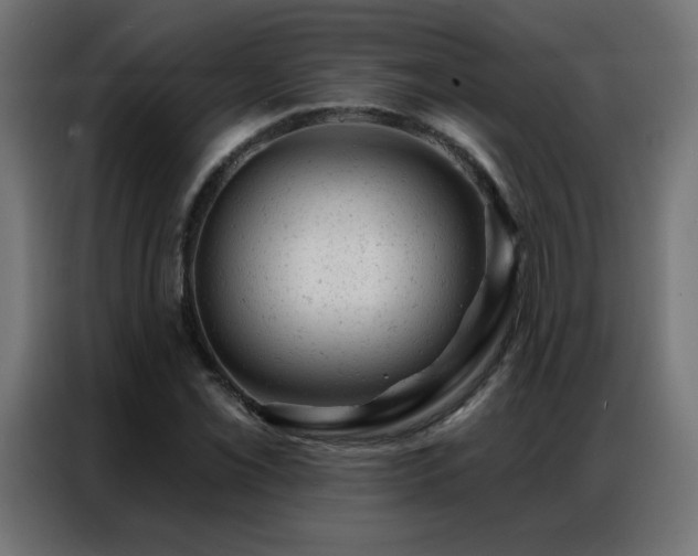 X0000087001069200704161520