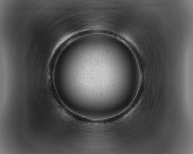 X0000087001070200704161520