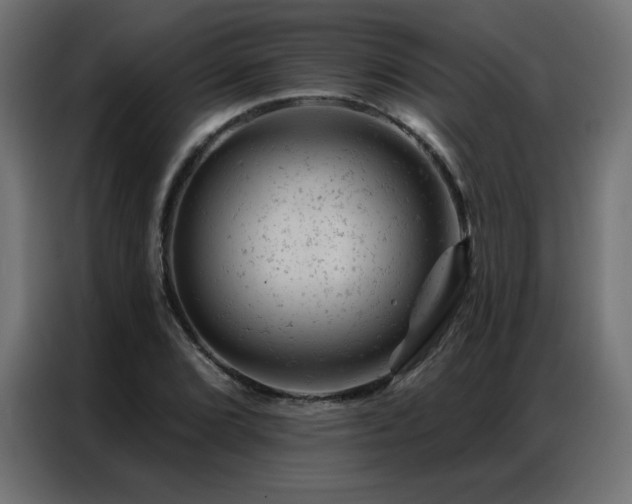 X0000087001072200704161519