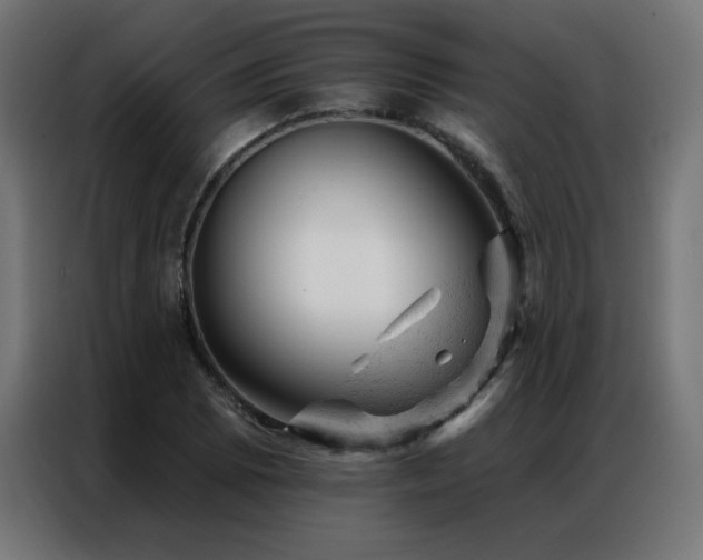 X0000087001073200704161519