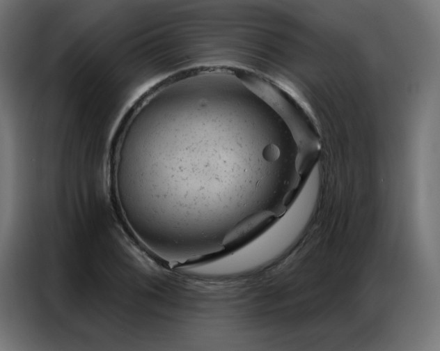 X0000087001076200704161519