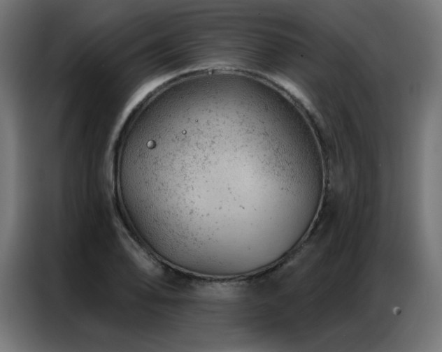 X0000087001078200704161519