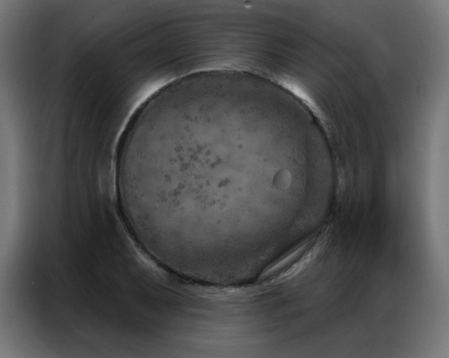 X0000087001079200704161519