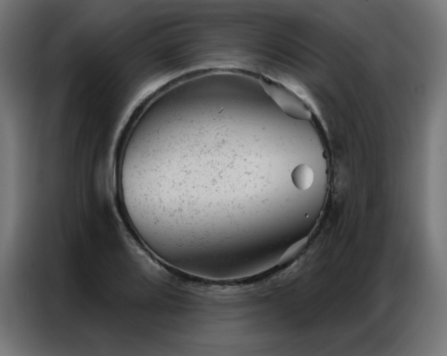 X0000087001080200704161519