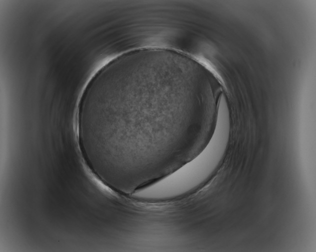 X0000087001084200704161519