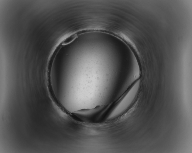 X0000087001085200704161519