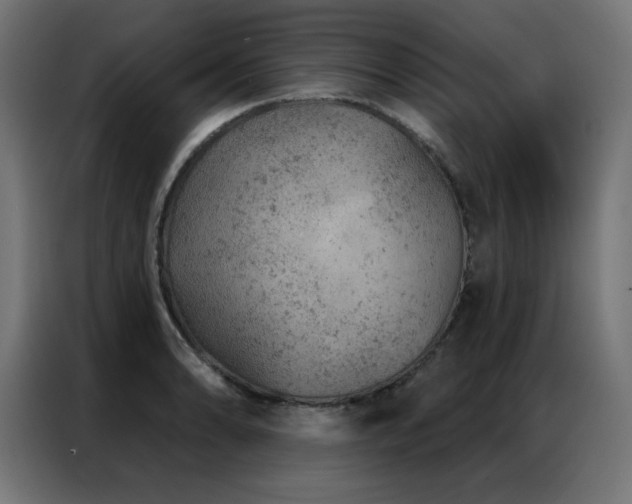 X0000087001086200704161519