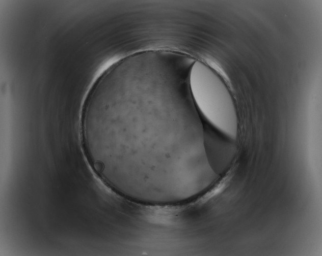 X0000087001087200704161519
