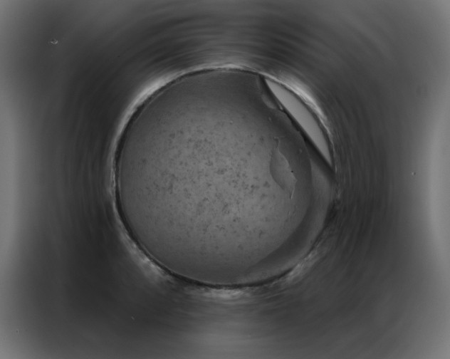 X0000087001088200704161519