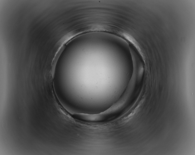 X0000087001089200704161519