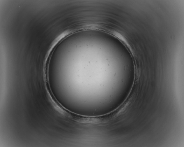 X0000087001090200704161519