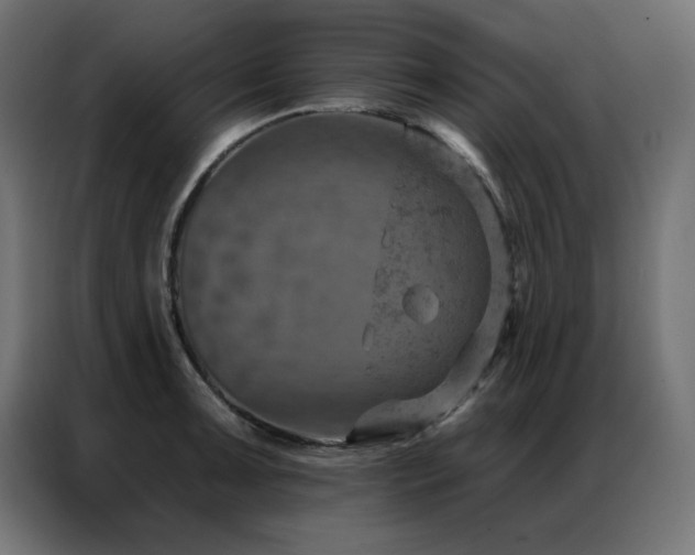 X0000087001091200704161519