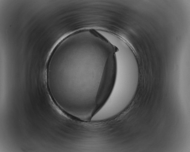 X0000087001092200704161519