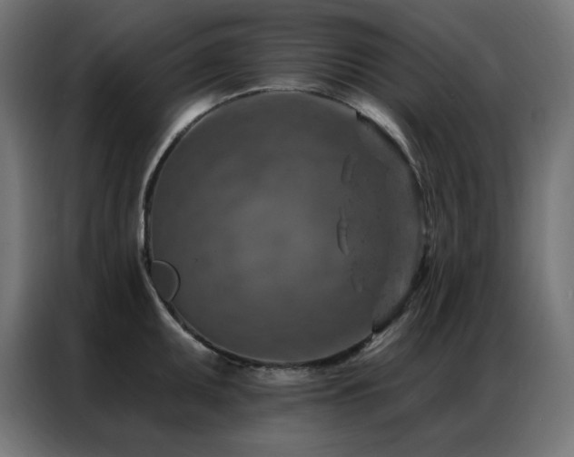 X0000087001095200704161519